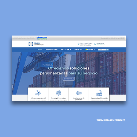 diseño web coldincontainers